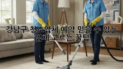 강남구 청소업체 예약: 믿을 수 있는 업체 고르는 꿀팁!