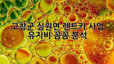 고창군 심원면 렌트카 사업, 유지비 꼼꼼 분석!
