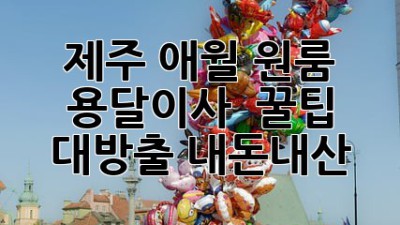 제주 애월 원룸 용달이사 🚚💨 꿀팁 대방출! (내돈내산)
